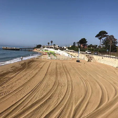 Cortile Palmi 度假居 阿沃拉